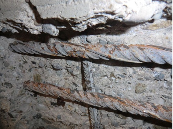 Schlammentwässerung Klärwerk 1